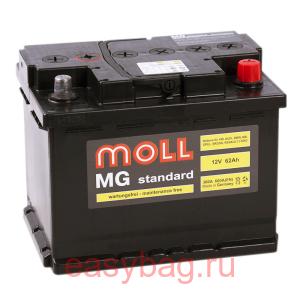  Moll MG Standard 62   13325