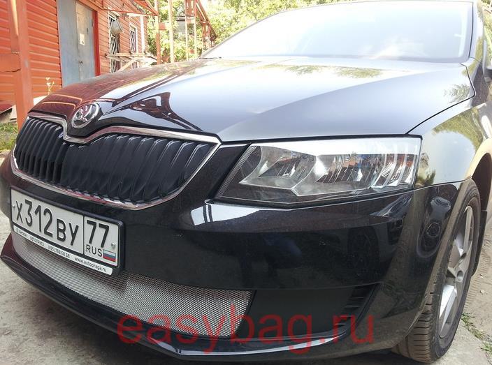 Защита радиатора Skoda Octavia A5 (Шкода Октавия A5) низ хром